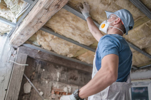 Best Insulation Maintenance and Repair in Matamoras, OH
